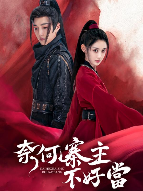 奈何寨主不好当
